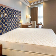 Centrál Hotel, 尼赖吉哈佐 — 照片 5