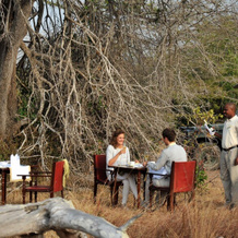 Selous Serena Camp, Заповедник Селус — фото 5