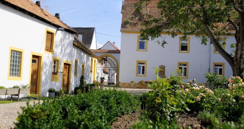 Der Von-Dalberg-Hof, 鲁珀茨贝格 — 照片 1