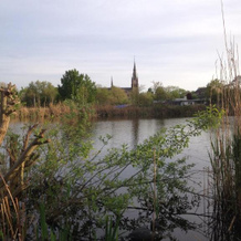 Studio Lakeside Spiegelplas, Bodegraven — photo 4