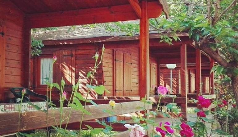 Bungalow & Camping Fuente De Regrustan, 格劳斯 — 照片 1