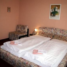 Hotel Petra Garni, Храбушице — фото 3