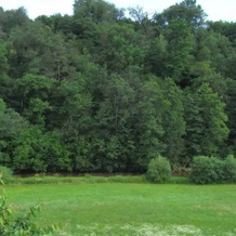 Zwettltalblick, Zwettl — photo 4
