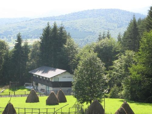 Cabana Haiducului Doftana, Валеа-Дофтаней — фото 1