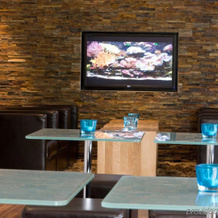 B&B Hotel Berlin-Dreilinden, 小马赫诺 — 照片 3