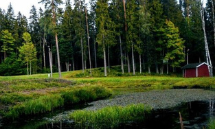 Алуксне