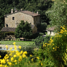 Agriturismo La Posta di Confine, 科尔恰诺 — 照片 5