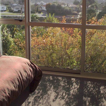 Panorama Motor Inn Te Kuiti, 蒂库伊蒂 — 照片 3