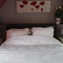 Le Clos Des Roses, Saint-Regle — photo 5