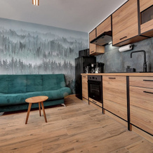 RentPlanet - Apartament Bronka Czecha, 希维拉杜夫-兹德鲁伊 — 照片 5