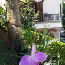 B&B Home Carioca, Рио-де-Жанейро — фото 5