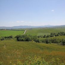 La Terrazza Sulla Val D'orcia, Кастильоне-д'Орсия — фото 4