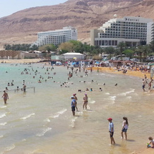 Rose Dead Sea Neve Zohar, Neve Zohar — photo 4