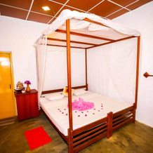 Talalla Freedom Resort, 塔拉拉 — 照片 5