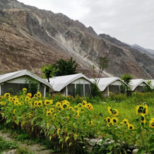 TIH Buckwheat Root Camp - Turtuk, Turtuk — photo 4