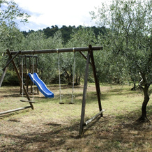Organic Farmholiday In The Middle Of Olive Grove 1, 卡斯泰尔弗兰科皮安迪斯科 — 照片 5