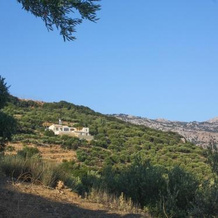 Villa Dio Petres, Kritsa — photo 3