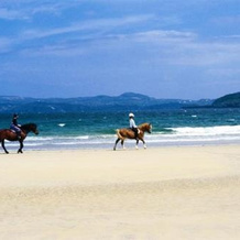 Mia's Self Catering Holiday Cottage, 伯特 — 照片 5