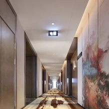 Andaman International Hotel (Baise Wanjingcheng Everbright Street Branch), Байсе — фото 3
