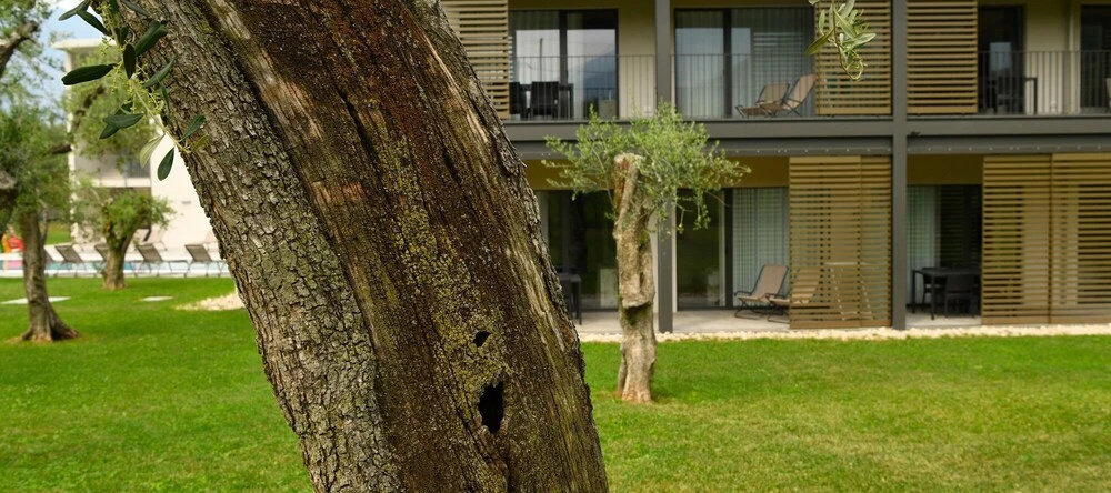 Residence Malcesine Active & Family, 马尔切西内 — 照片 1