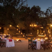 Sabi Sabi Bush Lodge, Kruger National Park — photo 4
