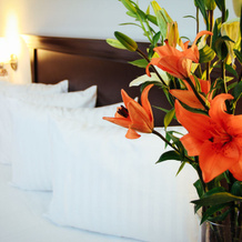 Palmareca Inn-Suites-Studio, Tuxtla Gutierrez — photo 5