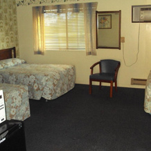 Heidelberg Motel by Capital O Bridgeport Frankenmuth I 75, 切萨宁 — 照片 2