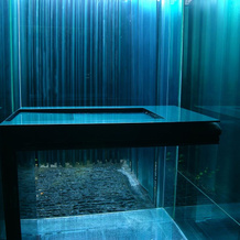 Les Cols Pavellons, 奥洛特 — 照片 4