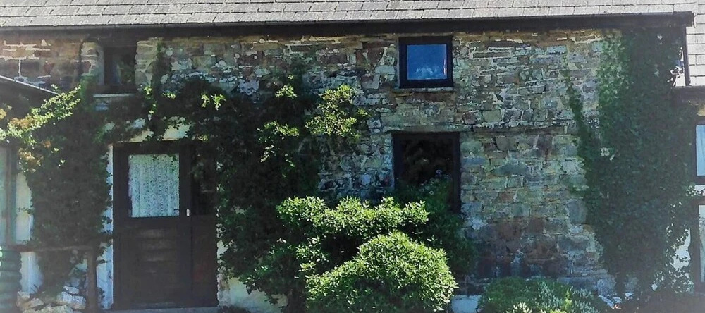 Relaxing Holiday in Millpond Cottage - Cwmiar, 兰比斯特 — 照片 1