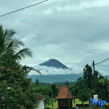 Karyakita Homestay Magelang Rumah All in, 蒙吉德 — 照片 5