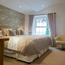 Tan-y-Foel Country Guest House, 布罗加蒙 — 照片 4