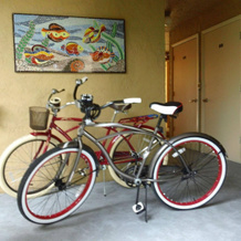 Wiggins Pass Chalet, 北那不勒斯 — 照片 3