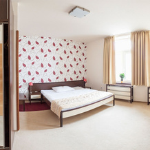Hotel Koruna, Salgovce — photo 4