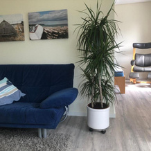 Apartment im Grünen, 门登 — 照片 2