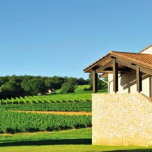 Le Domaine Du Peyrichoux, Синглерак — фото 5