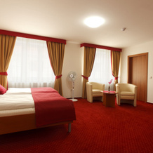 Wine Wellness Hotel Amande, 胡斯托佩切 — 照片 4