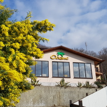 Oazis 2016 Mini-hotel, Ldzaa — photo 2