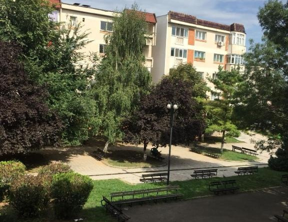 Cozy Park Studio in city center, Campina, 坎皮纳 — 照片 1