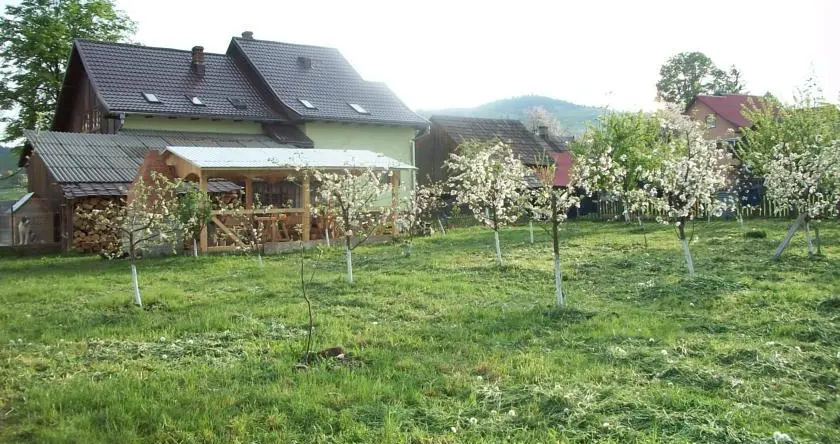 Bucovina Hills Guesthouse, 默讷斯蒂雷亚胡莫鲁卢伊 — 照片 1