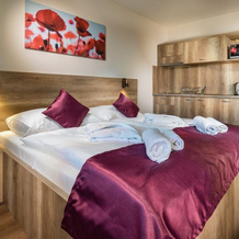 Apartmány Termál, 多瑙斯特雷达 — 照片 4