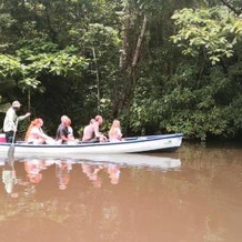 Tortuguero Adventures GuestHouse, 托尔图格罗 — 照片 4