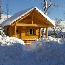 Willmannshof, Фуртванген — фото 5