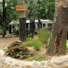 Camping les Bruyères, 莫雷利亚-拉伊利亚 — 照片 5
