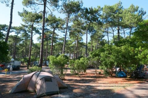 Camping Campole Plage Sud, Бискаррос — фото 1