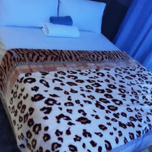 Walter Short Bed and Breakfast Guest House, 彼得马里茨堡 — 照片 2