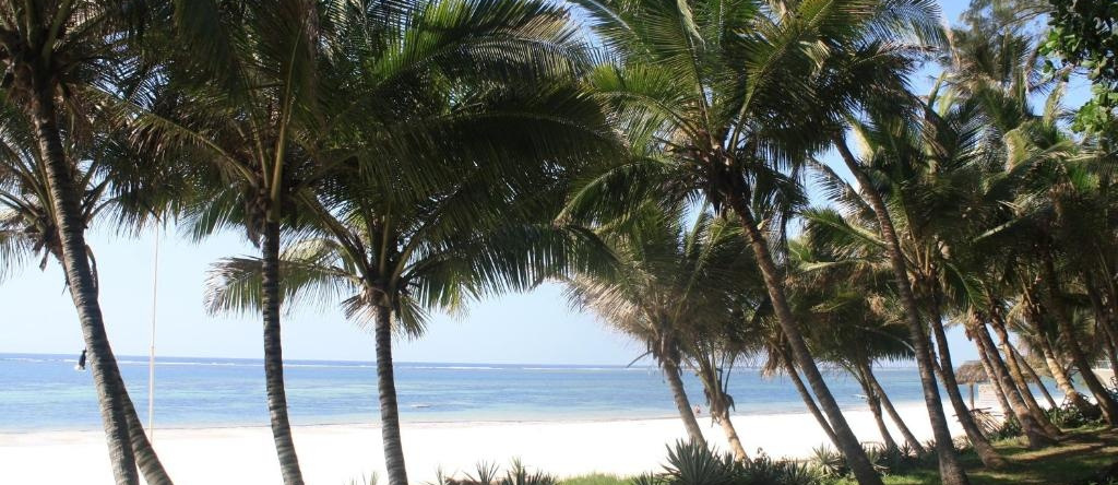 Diani Marine Divers Village, Msambweni — photo 1