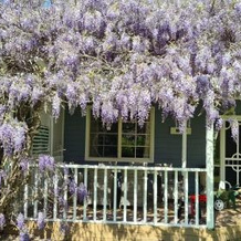 Bowral Escape, Mittagong — photo 2
