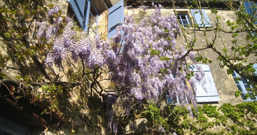 La Maison d'Hôtes Chez Delphine, 皮塞尔西 — 照片 1