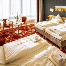 Hotel Löwengarten, 施派尔 — 照片 3