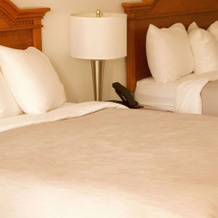 Quality Inn near Chattanooga South, Ringgold — photo 3